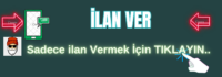 Ilan-Ver-Logo