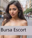 Bursa Escort Bayan Hizmeti